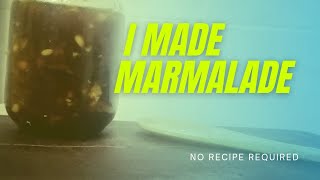 I made Marmalade [upl. by Accber609]