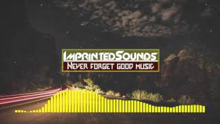 Avicii  The Nights Instrumental  ImprintedSounds [upl. by Nosirb]