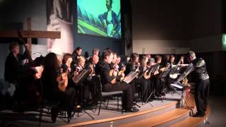 Auckland Mandolinata Orchestra 3rd May 2014 [upl. by Phip574]