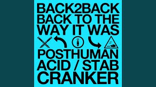 Acid Cranker [upl. by Waylin366]