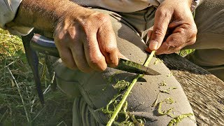 How To Make Natural Cordage From Bramble [upl. by Lebna]