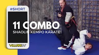 Sweep Lock and Twist the Leg  11 combo short [upl. by Weaver]