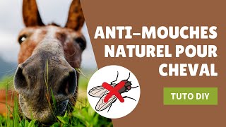 Comment créer un antimouches naturel pour cheval recette DIY [upl. by Raven]