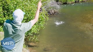 Solo Dry Fly Fishing amp Camping Utah [upl. by Auqenet796]