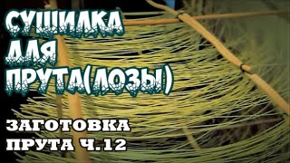 🌿☀СУШИЛКА ДЛЯ ПРУТАЛОЗЫ ➤ЗАГОТОВКА ЛОЗЫ Ч12 ➤ИВОВЫЙ ПРУТ ➤ПЛЕТЕНИЕиз ЛОЗЫ  WICKERWORK [upl. by Silber580]