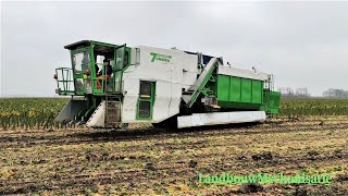 Eerste automatische spruitenplukker van Tumoba [upl. by Moss]