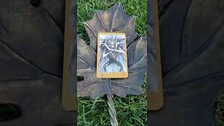 The Faeries Oracle Card 61 G Hobyah  Imaginary Fears Unreal Hazards By Brian Froud Fairies [upl. by Andreas]