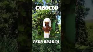 Caboclo pena Branca mensagem [upl. by Stockton]