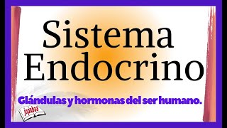 👉SISTEMA ENDOCRINO humano y sus principales GLÁNDULAS y hormonas Documental Completo Jopabaa [upl. by Aryhs]