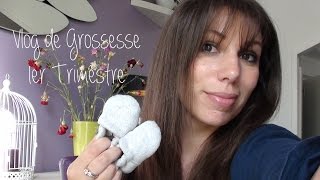 Vlog 1er Trimestre de Grossesse [upl. by Gracye]