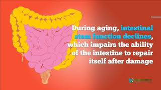 Can Fasting Boost Regenerative Capacity Stem Cells amp Can Trigger Cell Proliferation [upl. by Bride284]