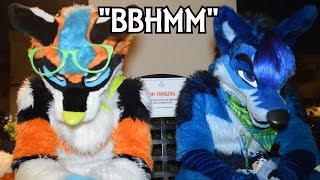 Rahne amp Hogwash  Bitch Better Have My Money Rainfurrest 2015 [upl. by Veljkov188]