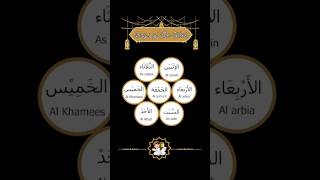 Learn Arabic for Beginners  Days of the Week [upl. by Aicilav]