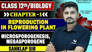 Class 12th Biology Chapter 1 UP Board 202425  Reproduction in Flowering Plants Class 12 [upl. by Rovert]