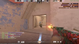 s1mple stream 2024  09  10 [upl. by Aivatra]