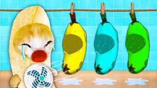 Banana Cat and the Wet Clothes Mystery 😹🍌🐱 Baby Banana Cat Compilation  Happy Cat Crying MEME 😿 [upl. by Jeni280]