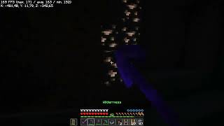 cave jumpscare Minecraft [upl. by Francois]