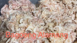 How to make Bagoong Alamang [upl. by Ehrsam378]