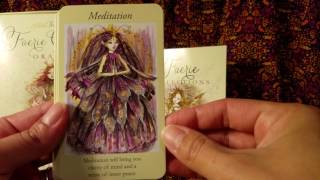 The Faerie Guidance Oracle by Paulina Cassidy  Unboxing and WalkThrough [upl. by Initof]