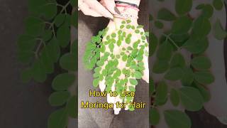 Moringa shampoo at home How to use moringa for hair growth moringaleaves hairgrowth shorts [upl. by Eirual]