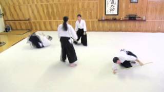 Aikido Randori  Attackers with Weapons [upl. by Aikat219]