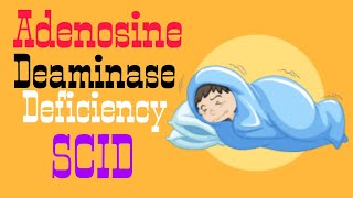 Adenosine Deaminase Deficiency  SCID  Lecture 8 [upl. by Ariuqahs]