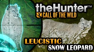 HOW CLOSE FACE TO FACE WITH A STUNNING RARE LEUCISTIC SNOW LEOPARD IN THE HUNTER CALL OF THE WILD [upl. by Nivac]