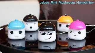 LB  808 Mini USB Humidifier  Gearbestcom [upl. by Haslam]