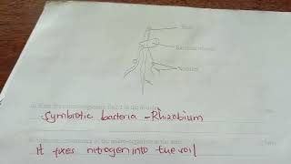 Biology paper 1 KCSE revision Questions and Answers [upl. by Riek]