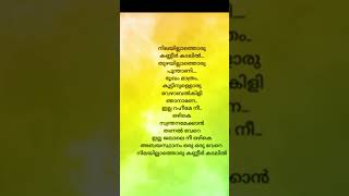 Nilayillathoru kaneer kadalil  statusvideo song lyrics [upl. by Nauhs85]