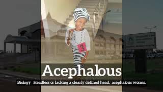 What is Acephalous  How Does Acephalous Look  How to Say Acephalous in English [upl. by Ky295]