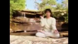 Falun Dafa The Path to Returning to Ones True Self [upl. by Lewls579]