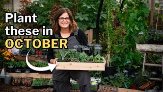 OCTOBER PLANTING GUIDE Top Veggies Flowers and Herbs for Your Fall Garden [upl. by Asital400]