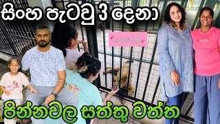 බබාලා එක්කන් යන්න අපුරුම තැනක්Pinnawala Zoo [upl. by Woodberry]