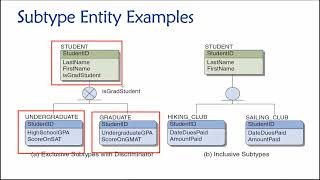 Topic 04 Part 11  Supertype and Subtype Entities [upl. by Direj]