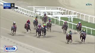 Seoul 20230923 R6 Class 5 1200M Handicap [upl. by Sheya]