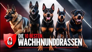 Top 10 Wachhunde Die besten Hunderassen zum Schutz und Bewachen  Pfotengeheimnisse [upl. by Fates]