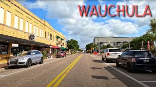 Wauchula Florida Driving Through [upl. by Litnahs]