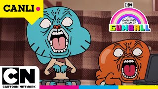 🔴 CANLI 🔴  GUMBALL  FİNAL SEZON  OFF AIR WEB ÖZEL YAYIN [upl. by Wiskind]