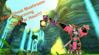 Maraudon Ghost Mushroom Farming  40g per hour [upl. by Lynnette]