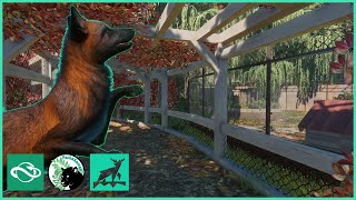 The not so RED gray FOX  Raven Creek Park  Planet Zoo  46 [upl. by Latoya]