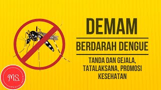 Demam Berdarah Dengue  Tanda dan Gejala Tatalaksana dan Promosi Kesehatan [upl. by Ardyce255]