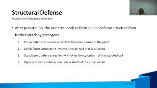 HOW PLANTS DEFEND FROM PATHOGEN ATTACKS [upl. by Noiro70]