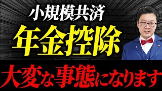 【衝撃】これ知らないとマジでヤバい！税制改正の悪影響でほとんどの人が大損の可能性があります。 [upl. by Assillam]