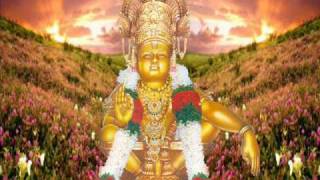 Ayya Darshanam Swamy Ayya Darshanam  Ayyappa telugu song [upl. by Notnel352]