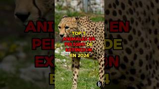 TOP 5 ANIMALES en PELIGRO de EXTINCIÓN en 2024😔🐅 shorts interestingfacts subscribe facts [upl. by Shalna]