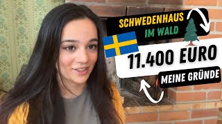 Warum ich mir im schwedischen Wald ein Ferienhaus gekauft habe – Meine Story amp Motivation [upl. by Nehtanoj25]