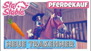 Star Stable SSO Haddu Möhrchen TRAKEHNER PFERDEKAUF DEUTSCH [upl. by Anahsed]