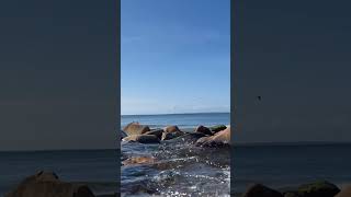 timelapse of the brook at the brickyard in chilmark on marthasvineyard [upl. by Iahc780]