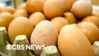 Egg prices are expected to soar [upl. by Odanref]